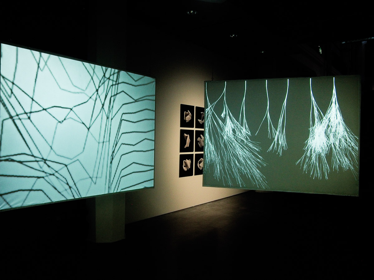 installation view